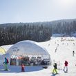 Information about the ski resort Paganella