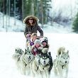 Discover the area around Park City during a nice dog sled tour for the whole family.