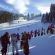 Information about the ski resort Stollenbach