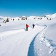 You will find many cross-country ski trails.