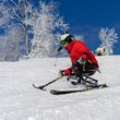Information about the ski resort Whitetail Mountain Resort