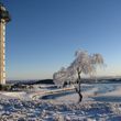 Information about the ski resort Willingen