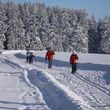 Information on Cross-Country Skiing at Neuhaus am Rennweg