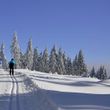 The cross-country skiing tracks in Oberhof comprise up to 50km in length.
