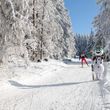 Information on Cross-Country Skiing at Oberhof