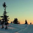 Information on Cross-Country Skiing at Amden