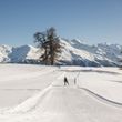 Information on Cross-Country Skiing at Bürchen