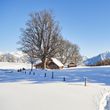 Information on Cross-Country Skiing at Brandnertal