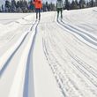 Information on Cross-Country Skiing at Brandnertal