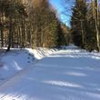Information on Cross-Country Skiing at Cross Country Center Grainet - Obergrainet - Haidel
