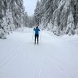 Information on Cross-Country Skiing at Cross Country Center Grainet - Obergrainet - Haidel