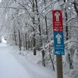 Information on Cross-Country Skiing at Cross Country Center Grainet - Obergrainet - Haidel