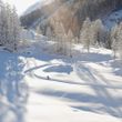 Information on Cross-Country Skiing at Davos Klosters