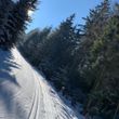Information on Cross-Country Skiing at Erlbach Kegelberg