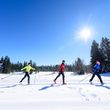 Information on Cross-Country Skiing at Ferienland Schwarzwald - Black Forest