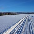 Information on Cross-Country Skiing at Grafenau