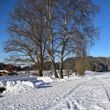 Information on Cross-Country Skiing at Grafenau