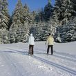 Information on Cross-Country Skiing at Hohenbogen