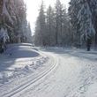 Information on Cross-Country Skiing at Jöhstadt
