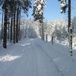 Information on Cross-Country Skiing at Jöhstadt