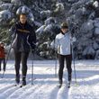 Information on Cross-Country Skiing at Langewiese