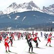 Information on Cross-Country Skiing at Saalfelden