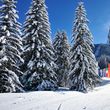 Information on Cross-Country Skiing at Val Gardena Gröden