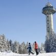 Information on Cross-Country Skiing at Willingen