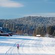 Information on Cross-Country Skiing at Zwiesel Rabenstein