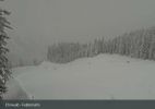 Webcam located at: Feldernalm in Ehrwald - Zugspitze