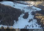 Webcam located at: View of the Piavac slope, Alpe Lusia