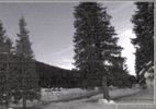 Webcam mit dem Standort: Pokljuka: Wetterstation am Biathlonstadion
