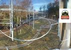 Webcam mit dem Standort: Rowdy Bear Freizeitpark