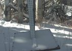 Webcam located at: Snow Stake Park City