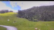 Archiviertes Webcam Bild: Shuttleberg: Sun House Flachauwinkl am 12.07.2026 um 14:16 Uhr