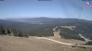 Archiviertes Webcam Bild: Großer Arber: Nordhang am 14.08.2026 um 12:39 Uhr