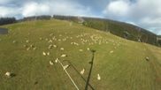 Archiviertes Webcam Bild: Oberwiesenthal - Webcam auf den Haupthang des Skigebiets am Fichtelberg am 16.10.2026 um 10:22 Uhr