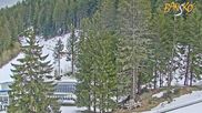 Archived webcam image showing Bansko Ski Resort: Bunderishka polyana on 8 Apr 2026 at 07:31