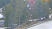 Archived webcam image showing Bansko Ski Resort: Bunderishka polyana on 20 Apr 2026 at 08:22
