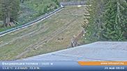 Archived webcam image showing Bansko Ski Resort: Bunderishka polyana on 26 May 2026 at 07:24