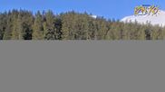 Archived webcam image showing Shiligarnika in Bansko on 12 Mar 2026 at 08:38