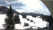 Archiviertes Webcam Bild: Samedan: Loipe und Golfplatz am 24.03.2026 um 12:42 Uhr