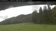 Archiviertes Webcam Bild: Blick auf die Piste im Skigebiet Hirschberg Kreuth am 11.10.2026 um 16:21 Uhr