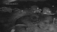 Archived webcam image showing Celerina - easy slope on 15 Jun 2026 at 00:09