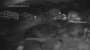 Archived webcam image showing Celerina - easy slope on 18 Sep 2026 at 00:08