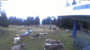 Archived webcam image showing Kidspark Grüsch Danusa on 18 Aug 2026 at 08:51