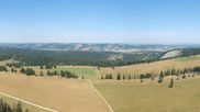 Archiviertes Webcam Bild: Panoramacam über Tête de Ran im Pays de Neuchâtel am 12.07.2026 um 12:59 Uhr