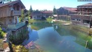 Archived webcam image showing INNs HOLZ, Chalet Village Böhmerwald on 29 May 2026 at 12:10