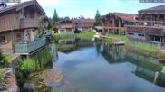 Archived webcam image showing INNs HOLZ, Chalet Village Böhmerwald on 17 Jun 2026 at 10:54