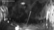 Archived webcam image showing Ladurns: Slope Ladurner Alm on 5 Jun 2026 at 04:14